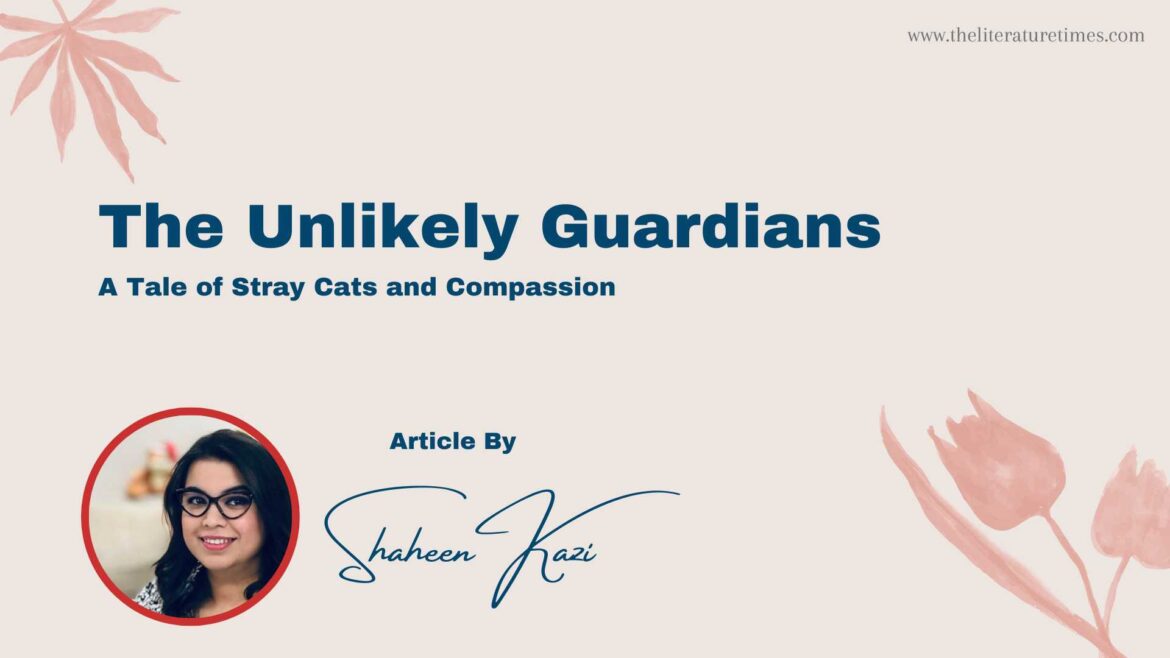 The Unlikely Guardians: A Tale of Stray Cats and Compassion